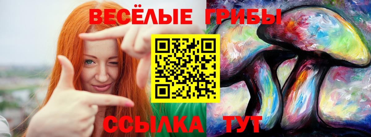 Псилоцибиновые грибы мицелий Уварово